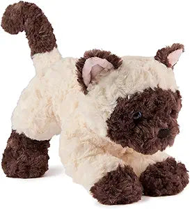 Bootsie Siamese Kitten