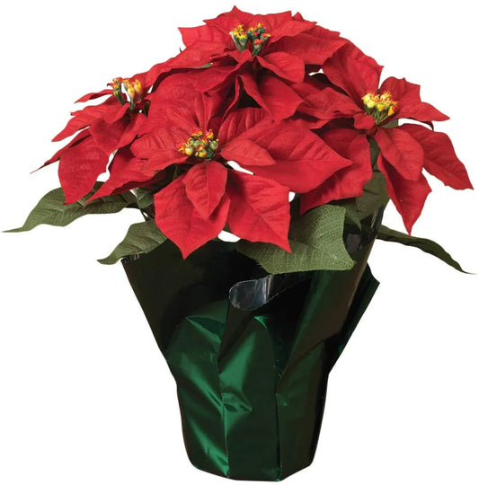 Poinsettia - 4" w/ Foil Cover