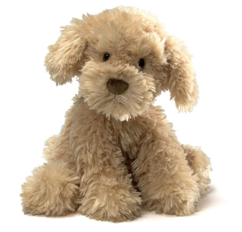 Nayla Cockapoo