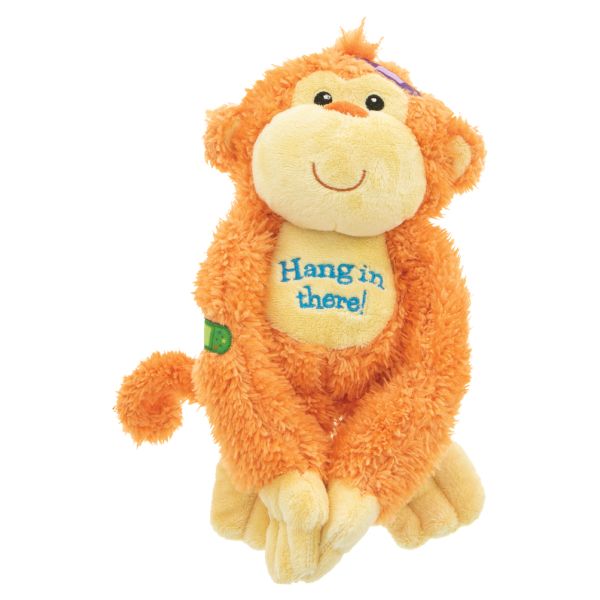 Hang In There Monkey