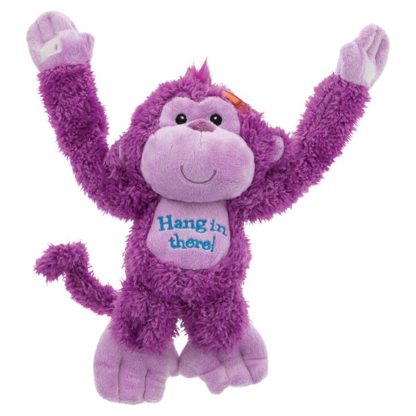 Hang In There Monkey