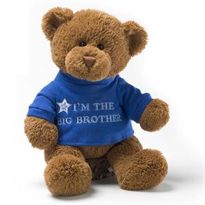 Big Brother T-Shirt Bear